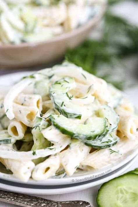 Summer Pasta Salad Recipes Easy, Cucumber Pasta, Cucumber Pasta Salad, Summer Pasta Salad Recipes, Pasta Lunch, Potluck Side Dishes, Cold Pasta Salad Recipes, Cucumber Dill, Creamy Cucumber Salad