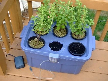 How I Built My DIY Hydroponic System and Hydroponic Garden Homemade Hydroponic System, Cucumber Trellis, Aquaponics Diy, Hydroponic Farming, Hydroponics Diy, Hydroponic Growing, Greenhouse Plans, Aquaponics System, Hydroponics System