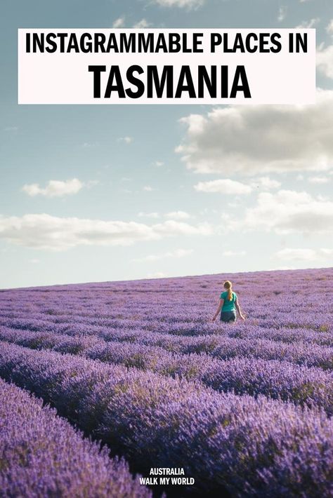 The 12 Most Instagrammable Places in Tasmania — Walk My World Instagramable Places, Tasmania Road Trip, Zion National Park Hikes, Tasmania Travel, Lightning Storms, Australia Queensland, Australia Itinerary, Most Instagrammable Places, Australian Travel