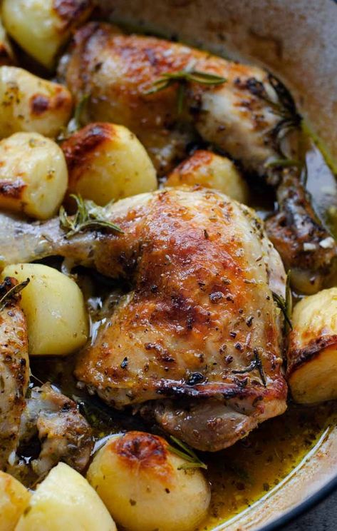 Greek Chicken Oven, Greek Chicken Leg Quarters, Mediterranean Chicken Leg Recipes, Mediterranean Chicken Legs Recipes, Chicken Leg Quarters Oven, Baked Greek Lemon Chicken, Lemon Baked Chicken, Greek Roasted Chicken, Roasted Chicken Quarters