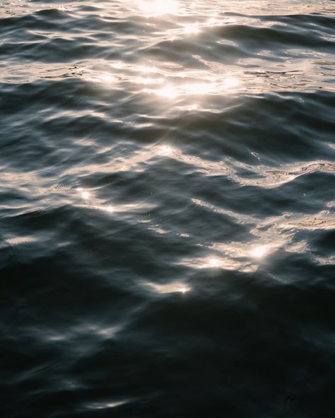 Water brings me peace 🌊 #travercecity #waterphotography #sunlight Water Aesthetic Photography, Aesthetic Water Pictures, Aesthetic Water, Water Aesthetic, Water Pictures, Water Photography, Aesthetic Photography, Painting Ideas, Water