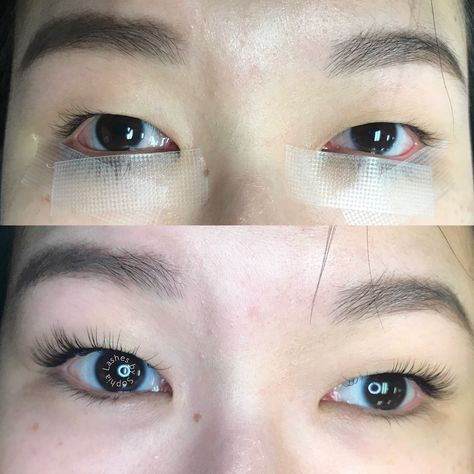 If you have hooded eyes or a monolid, make sure you go to a lash artist that knows what to do Monolid Fake Lashes, Lash Extension Monolid, Lash Extensions For Monolids, Monolid Eye Lash Extensions, Lash Extensions Asian Eyes Monolid, Eyelash Extensions For Monolid Eyes, Eyelash Extensions Monolid Eyes, Monolid Lash Map, Monolid Eyelashes