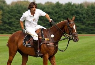 Nacho Figueras, Mountain Zebra, Plains Zebra, Polo Horse, Polo Fashion, Sport Of Kings, Pink Polo, Gq Style, Polo Pony