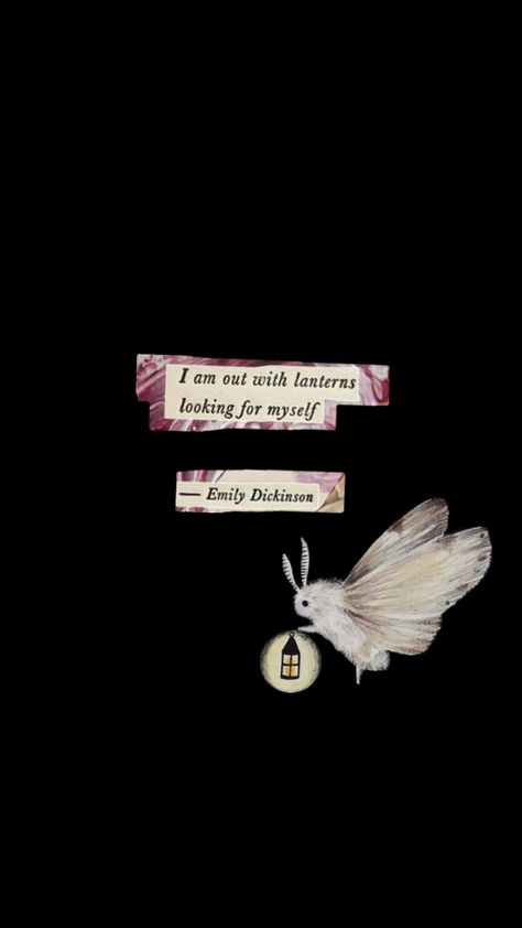 #emilydickinson #quote #light #lantern #cutout #word #words #moth Moth Quotes, Moth Quote, Lantern Cutout, Luna Moth, Emily Dickinson, Moth, Poetry, Quotes