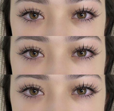 Angel Lashes, Bottom Lash Extensions, Natural Fake Eyelashes, Bottom Lashes, Lashes Fake Eyelashes, Lash Extensions Makeup, Perfect Eyelashes, Eyelash Extentions, Lashes Beauty