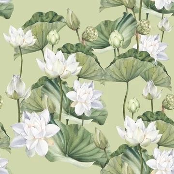 Lotus Flower Wallpaper, Watercolor Lotus, White Lotus Flower, Lotus Flower Art, Lotus Print, Lotus Art, Leaf Illustration, White Lotus, Lotus Flowers