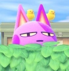 Bob Animal Crossing, Ac New Leaf, Animal Crossing Funny, Animal Crossing Fan Art, Animal Crossing Memes, Animal Crossing Characters, Animal Crossing Villagers, Animal Crossing Pocket Camp, Purple Cat