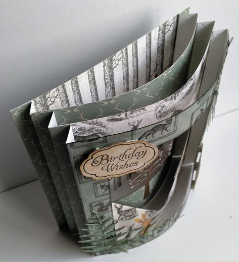 So this week I had a go at making an accordian card. I really enjoyed making it, so I made 2 more!!! The actual card shape is quite easy to ... Iced Images, Ice Images, Happy Birthday Cards Handmade, Accordion Cards, Card Making Templates, Pop Up Box Cards, Card Making Tips, Step Cards, Card Tricks