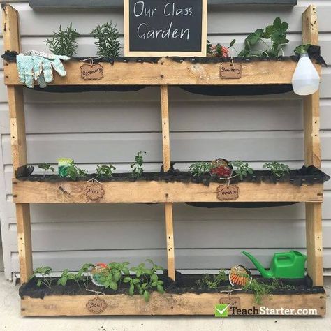 School Planting Projects & Activities for Kids Check more at https://www.kidsartncraft.com/school-planting-projects-activities-for-kids/ Class Artwork, Class Garden, Garden Theme Classroom, Classroom Garden, Eyfs Outdoor Area, Garden Simple, Classroom Diy, Preschool Garden, Reggio Inspired Classrooms