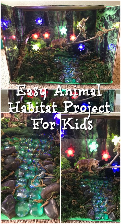 Easy Animal Habitat Project For Kids Animal Diarama, Animal Habitat Project, Animal Science Projects, Jaguar Habitat, Science Projects For Preschoolers, Habitat Project, Habitat Activities, Rainforest Project, Science Projects For Middle School