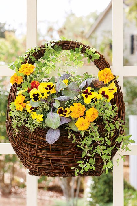 The Fragrant Flower Basket | Bring a seasonal splash of color to your entryway by mixing and matching eye-popping blooms with rustic grasses and foliage in your fall container gardens. Container gardens are a great way to enjoy seasonal splashes of color. For fall container gardening, mix eye-popping blooms with rustic grasses and foliage. Here, the Southern Living gardening editors share bright ideas for bringing the shades and tones of autumn to your home. Tabletop Topiary, Flower Garden Layouts, Mums In Pumpkins, Fall Container Gardens, Living Wreath, Ornamental Kale, Ornamental Cabbage, Fall Containers, Garden Cakes