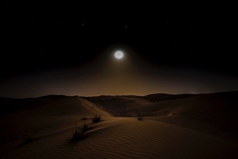 Desert at night Desert At Night Aesthetic, Night Desert Aesthetic, Desert Night Aesthetic, Dark Desert Aesthetic, Night Time Desert, Arabian Desert Aesthetic, Nevada Aesthetic, Desert Grunge, Desert At Night