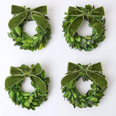 Small Boxwood Wreath, Mini Boxwood Wreath, Mrs Alice, Preserved Boxwood Wreath, Preserved Boxwood, Pink Wreath, Small Wreaths, Boxwood Wreath, Mini Wreaths