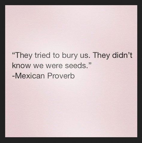 They tried to bury us. They didn't know we were seeds. #hope #freedom A Quote, Beautiful Quotes, The Words, Great Quotes, Beautiful Words, Proverbs, Inspire Me, Inspirational Words, Words Quotes