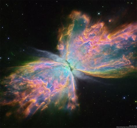 Butterfly Nebula Wallpaper, Butterfly Nebula, Telescope Pictures, Spring Phone Wallpaper, Planetary Nebula, Nebula Wallpaper, Universe Drawing, Butterfly Wallpapers, Astronomy Pictures