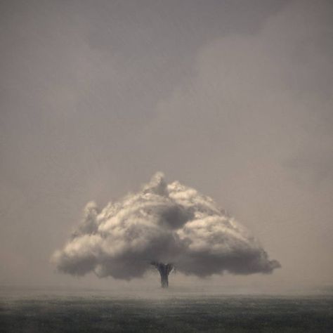 Cloud tree  By Luigi Quarta Vintage Nature Photography, Cloud Tree, Paper Clouds, Photography Inspiration Nature, Garden Artwork, Nature Photographs, Sky And Clouds, Fine Art Photo, Abstract Photography