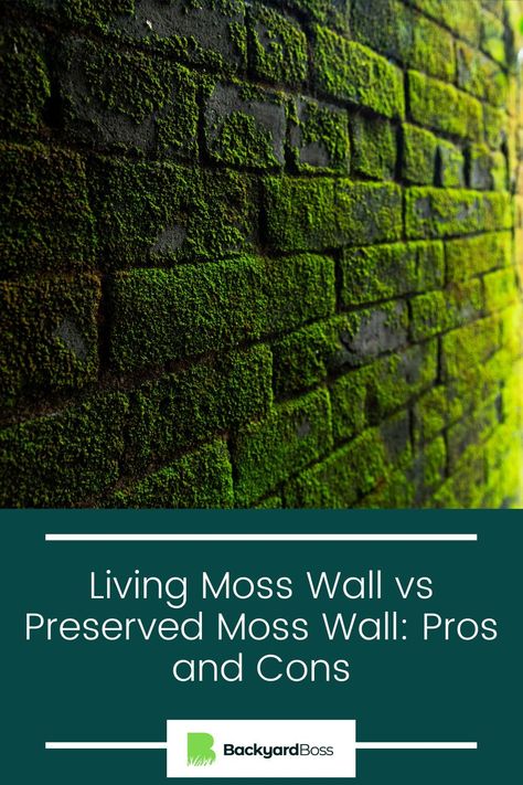 Moss walls are a great way to bring nature into your home. Should you opt for preserved moss or the real thing? Learn more about the pros and cons of each. Petrified Moss Wall, Moss Growing On Wall, Moss Ceiling Design, Moss Interior Design, Bathroom Moss Wall, How To Make A Moss Wall, Moss Wall Bathroom, Moss Wall Indoor, Moss Decor Ideas