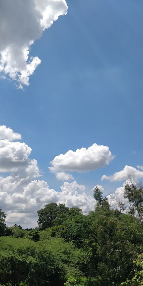 Blue sky aesthetic wallpaper Nature Asthetics, Blue Sky Aesthetic, Blue Sky Images, Bleach Pictures, Blue Sky Photography, Blue Sky Wallpaper, Beautiful Blue Sky, Easy Photography Ideas, Sky Images