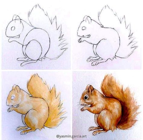 Watercolor Animals Easy Step By Step, Watercolour Animals Easy, Squirrel Drawing Easy, Watercolour Squirrel, Watercolor Animals Easy, Squirrel Sketch, Drawing Squirrel, Animal Sketches Easy, Squirrel Painting