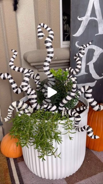 Kimbo- on Instagram: "It’s giving beetlejuice vibes and I’m here for it. #halloween #diycrafts" Beetlejuice Window Display, Beetlejuice Halloween Tree, Painting Pumpkins Beetlejuice, How To Make Beetlejuice Sandworm, Diy Sand Snake Beetlejuice, Beetlejuice Inspired Decor, Bettle Juice Decorations Diy, Beetlejuice Porch Sign, Beetlejuice Wreath Ideas