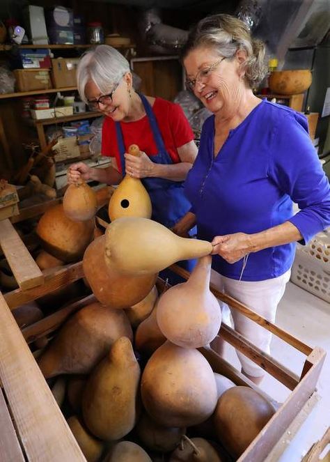 Priscilla Wilson (left) and her wife, Janice Lymburner, who runs the shop at the Gourd Place, pick through a bin of raw gourds for sale. Gourd Baskets, Pottery Process, Large Decorative Bowl, Candle Holder Crafts, Gorgeous Gourds, Folk Pottery, Contemporary Pottery, Unique Pottery, Gourds Crafts