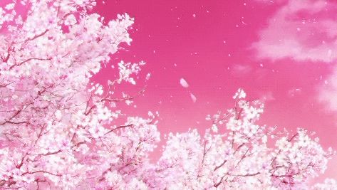 Discord Gift Banner, Rose Banner Discord, Discord Nitro Gif Banner Y2k Pink, Hot Pink Gif, Pink Animated Banner, Pink Gif Header, Hot Pink Banner Gif, Pink Gif Background, Dark Pink Banner Gif