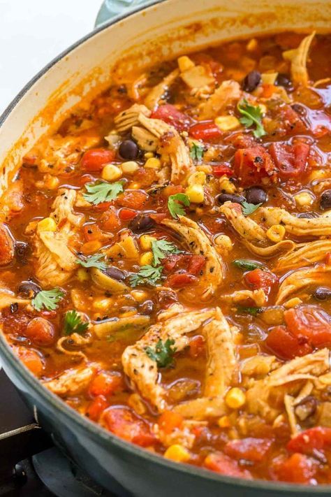 Soup On The Stove, Chicken Tortillas Soups Recipe, Tortilla Soup Recipe, Chicken Taco Soup, Avocado Dip, Fire Roasted Tomatoes, Chicken Tortilla Soup, Chicken Tortilla, Tortilla Soup