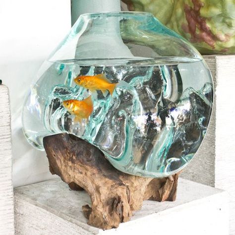 20 Amazing Wood Roots Furniture For Your Decor | Home Design And Interior Cool Fish Tanks, Mini Aquarium, Glass Pot, Smart Tiles, Deco Nature, Aquarium Design, Eco Friendly Decor, Terrarium Diy, Garden Terrarium