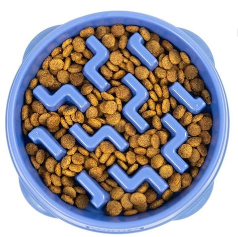 Outward Hound Slow Feeder Dog Bowl Slow Feeder Dog, Labyrinth Design, Maze Design, Poor Digestion, Slow Feeder, Pet Care Tips, Dog Bowl, Croquettes, Dog Eating