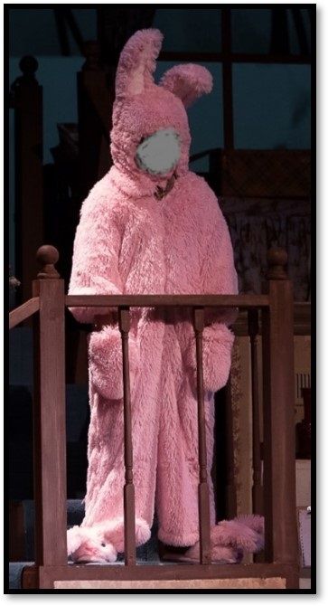 A Christmas Story - The Musical (2016) - Ralphie in the bunny suit (hood with ears and bunny slippers with ears made by me) Pink Bunny Onesie, Easter Diorama, Bunny Onesie, Rabbit Costume, Bunny Man, Bunny Slippers, Project Portfolio, Bunny Suit, Fluffy Bunny