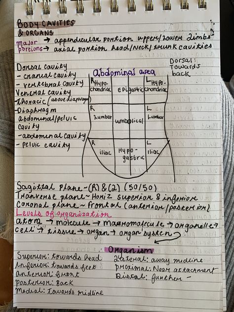 Surgical Technologist Student, Physiology Notes, Diagnostic Medical Sonography Student, Emt Study, Sonography Student, Medical Assistant Student, Diagnostic Medical Sonography, Ultrasound Technician, Notes Study