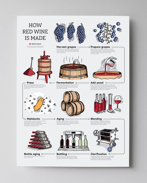 How Red Wine is Made Step by Step | Wine Folly Wine Folly, Wine Map, Wine Education, Wine Poster, Wine Guide, French Wine, Wine Pairing, Wine List, Wine Making