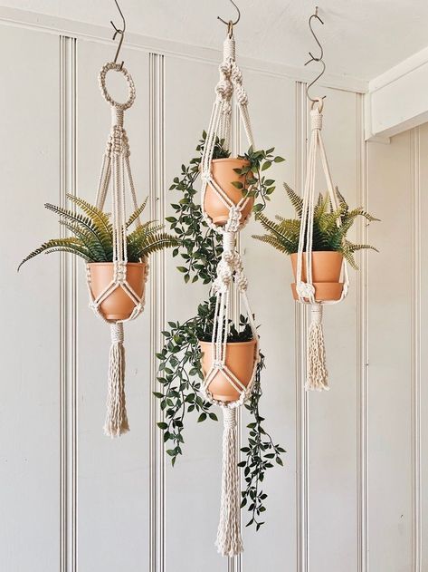 Macrame Macrame Plant Hanger Living Room, Diy Macrame Plant Hanger, Hanging Plants Indoor, Diy Plant Hanger, Macrame Plant Holder, Pothos Plant, Macrame Hanger, House Plants Decor, Macrame Plant Hangers