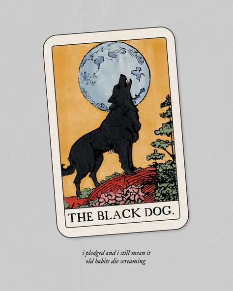 The Black Dog Taylor Swift Tattoo, The Black Dog Taylor Swift, Taylor Swift Discography, Taylor Swfit, Taylor Swift Tattoo, Taylor Swift Drawing, Taylor Swift Posters, Lyric Poster, Mirror Ball