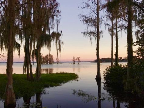 Lake Minnehaha. Clermont,Florida Clermont Florida, End Of Days, Old Florida, Geneva, New Life, Beautiful Places, Florida, Lake, History