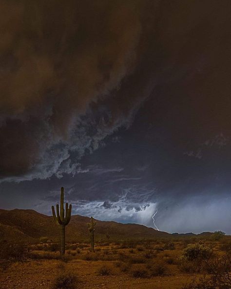 Creepy Desert Aesthetic, Desert Storm Aesthetic, Desert Gothic Aesthetic, Desert Horror Aesthetic, Winter In The Desert, Desert At Night Aesthetic, Desert Witch Aesthetic, Scary Desert, Arizona Gothic