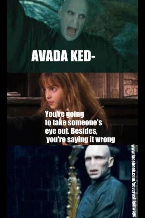 Voldemort Laugh, Harry Potter Voldemort, Glume Harry Potter, Funny Harry Potter Jokes, Harry And Hermione, Harry Potter Memes Hilarious, Harry Potter Puns, Harry Potter Fanfiction, Harry Potter Pictures