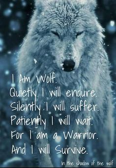 Lup Singuratic, Lone Wolf Quotes, I Will Survive, I Am A Warrior, Wolf Quotes, Wolf Love, She Wolf, Wolf Spirit, Warrior Quotes