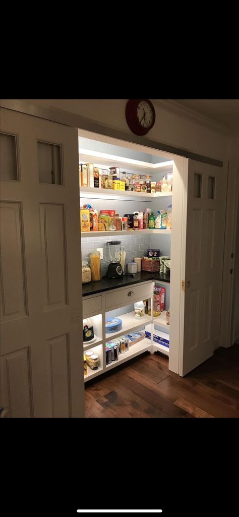 Mini Pantry Ideas, Small Pantry With Fridge, Mini Butlers Pantry, Built In Pantry Cabinet Wall, Shallow Pantry, Narrow Pantry, Pantry Redo, Food Storage Rooms, Pantry Closet Design