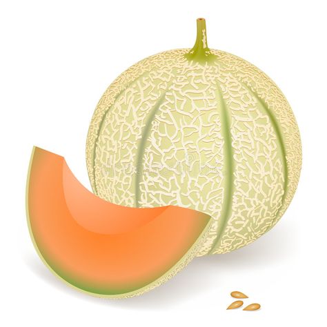 Melon Illustration, Classroom Interior, Vegetable Cartoon, Fruit Icons, Fruit Cartoon, Fruits Drawing, Fruit Picture, 3d Art Drawing, Page Borders Design