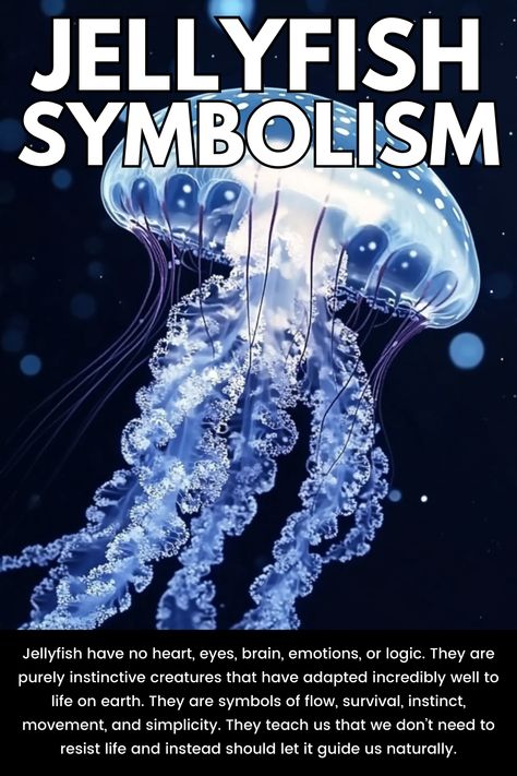 Jellyfish Symbolism (7 Meanings) – Dreams & Spirit Animals Jellyfish Meaning, Jellyfish Symbolism, Spirit Animal Meaning, Animal Meanings, Animal Symbolism, Spirit Animals, Your Spirit Animal, One With Nature, Marine Biology