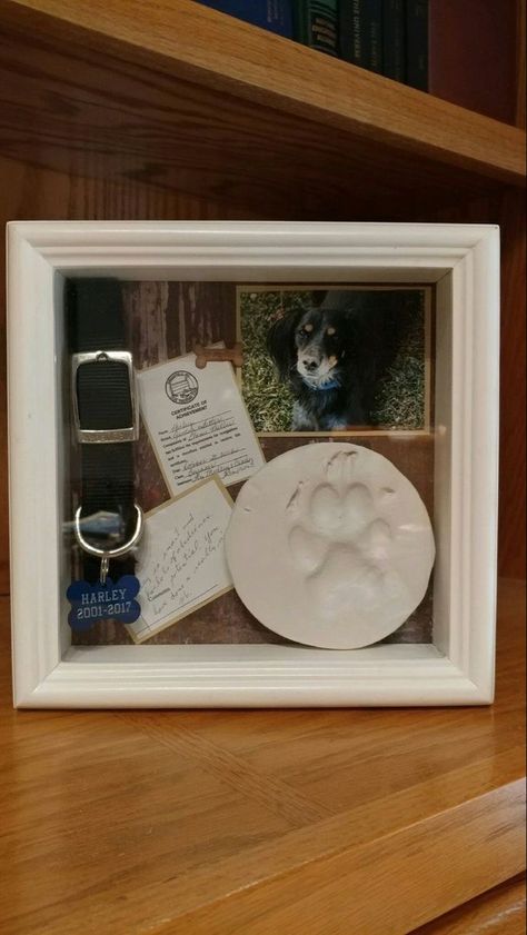 Pet Memorial Ideas Dogs, Dog Shadow Box, Pet Keepsake, Pet Remembrance, Dog Rooms, Dog Crafts, Dog Memorial, Pet Memorial, Pet Loss