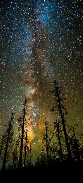 Milky Way. Photographer Toby Harriman: http://www.wanderingeducators.com/artisans/photographer-month/photographer-month-toby-harriman.html Cer Nocturn, Image Nature, To Infinity And Beyond, The Night Sky, Interesting Photos, Science And Nature, Night Photography, Milky Way, Amazing Nature