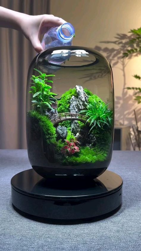 Aquarium Mini, Fish Tank Themes, Bottle Terrarium, Diy Succulent Terrarium, Fish Tank Terrarium, Mini Zen Garden, Underwater Plants, Fish Tank Design, Indoor Water Garden