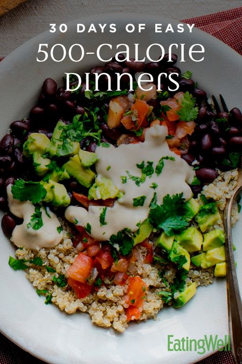 500 Calorie Dinners, Meals Under 500 Calories, 500 Calorie Meals, 500 Calorie, Healthy Dinner Options, Low Calorie Dinners, Balanced Meals, Dinner Options, 500 Calories