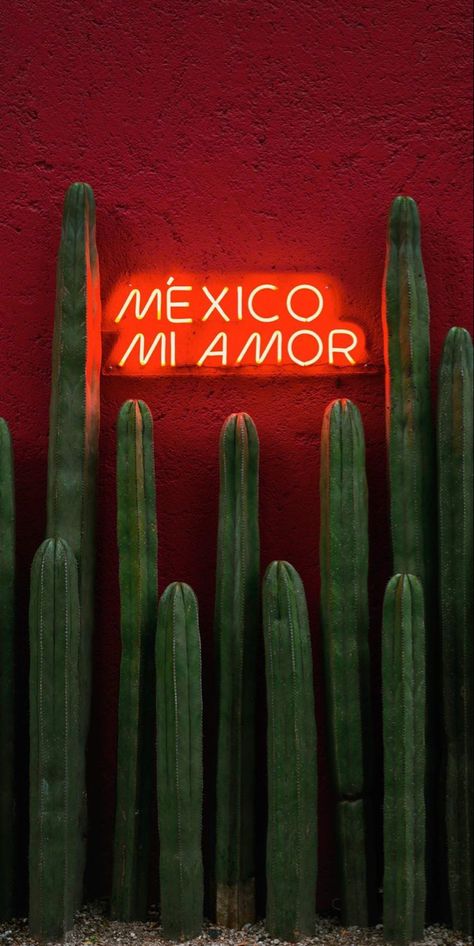 Mexican Wallpaper Aesthetic, Mexican Cafe, Mexican Wallpaper, Mexican Restaurant Decor, Mexico Wallpaper, Mexican Culture Art, Spring Wallpaper, Mexican Culture, Stunning Wallpapers