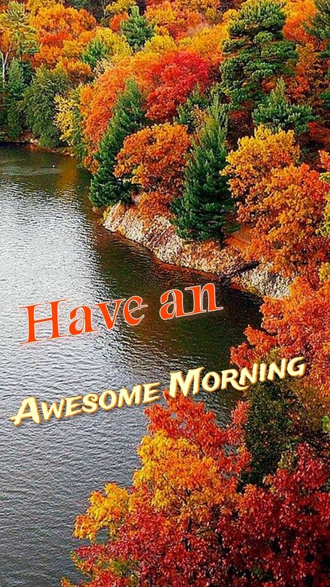 Good Morning Fall Images, Good Morning Fall, Great Day Quotes, Good Morning Gift, Special Good Morning, Happy Day Quotes, Fall Pics, Daily Greetings, Flowers Quotes