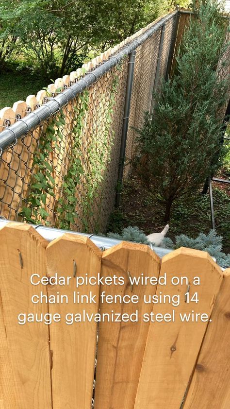 Diy Backyard Fence, Diy Privacy Fence, Privacy Fence Designs, Backyard Privacy, Diy Fence, Fence Landscaping, Chain Link Fence, Backyard Fences, Privacy Fence