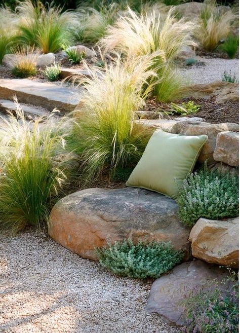 Amazing Landscaping Ideas, Mexican Feather Grass, Australian Native Garden, Landscaping Inspiration, Grasses Landscaping, Grasses Garden, Garden Types, Rock Garden Landscaping, Have Inspiration