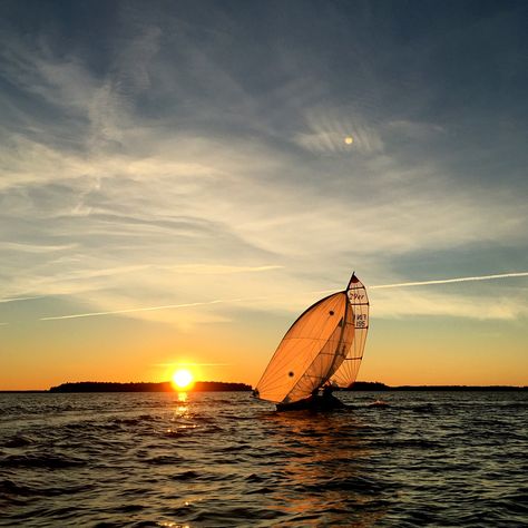 Sailing 29er in the sunset. Barca A Vela Aesthetic, 29er Sailing, Sailing Aesthetic, Sailing Life, Boat Life, Sailing Boats, Open Ocean, Boat Painting, Sport Boats